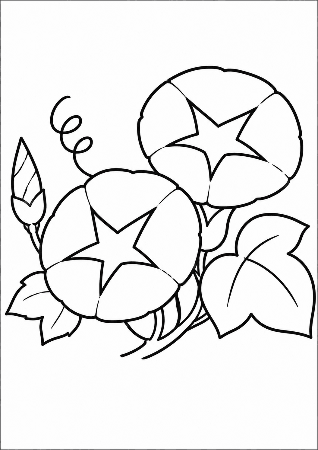 塗り絵【朝顔】の線画イラスト