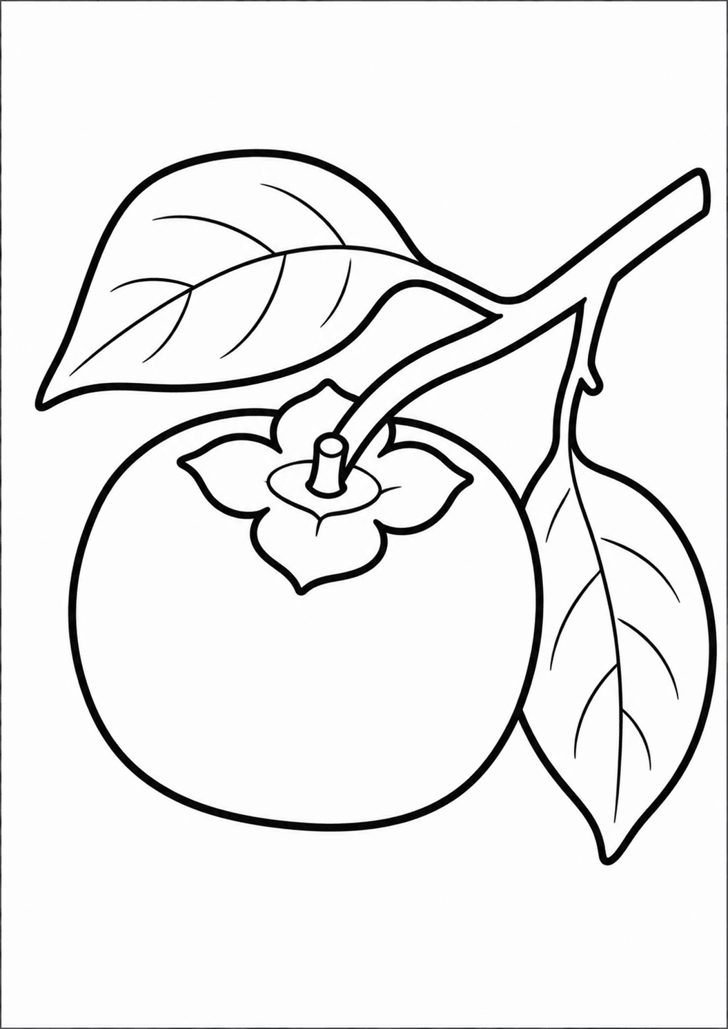 塗り絵【柿】の線画イラスト