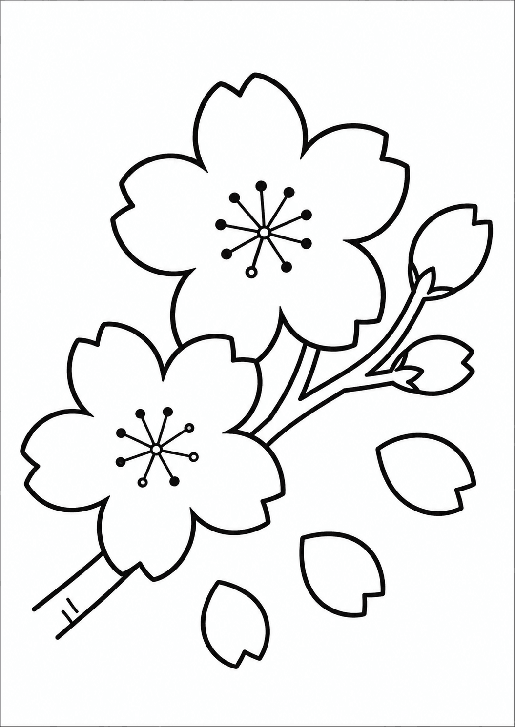 塗り絵【桜】の線画イラスト