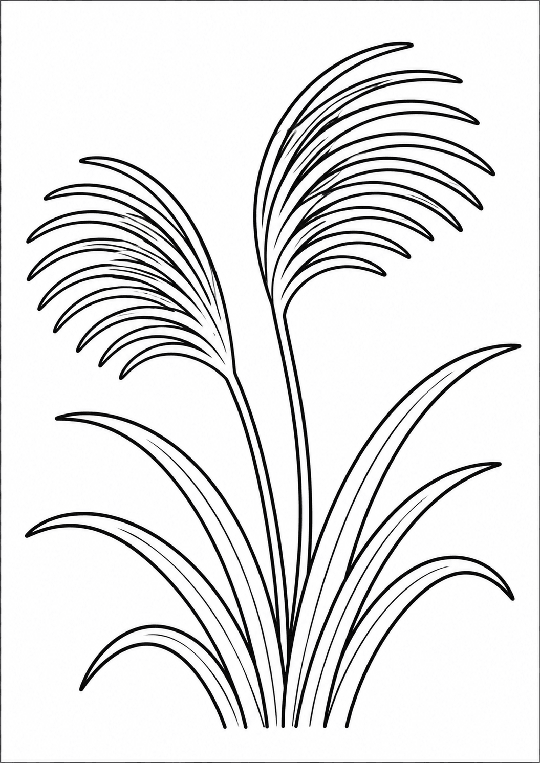 塗り絵【すすき】の線画イラスト